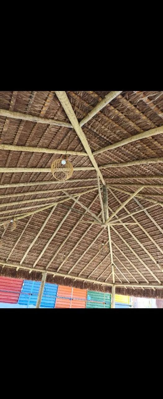 Piaçava da Bahia  - Foto 4