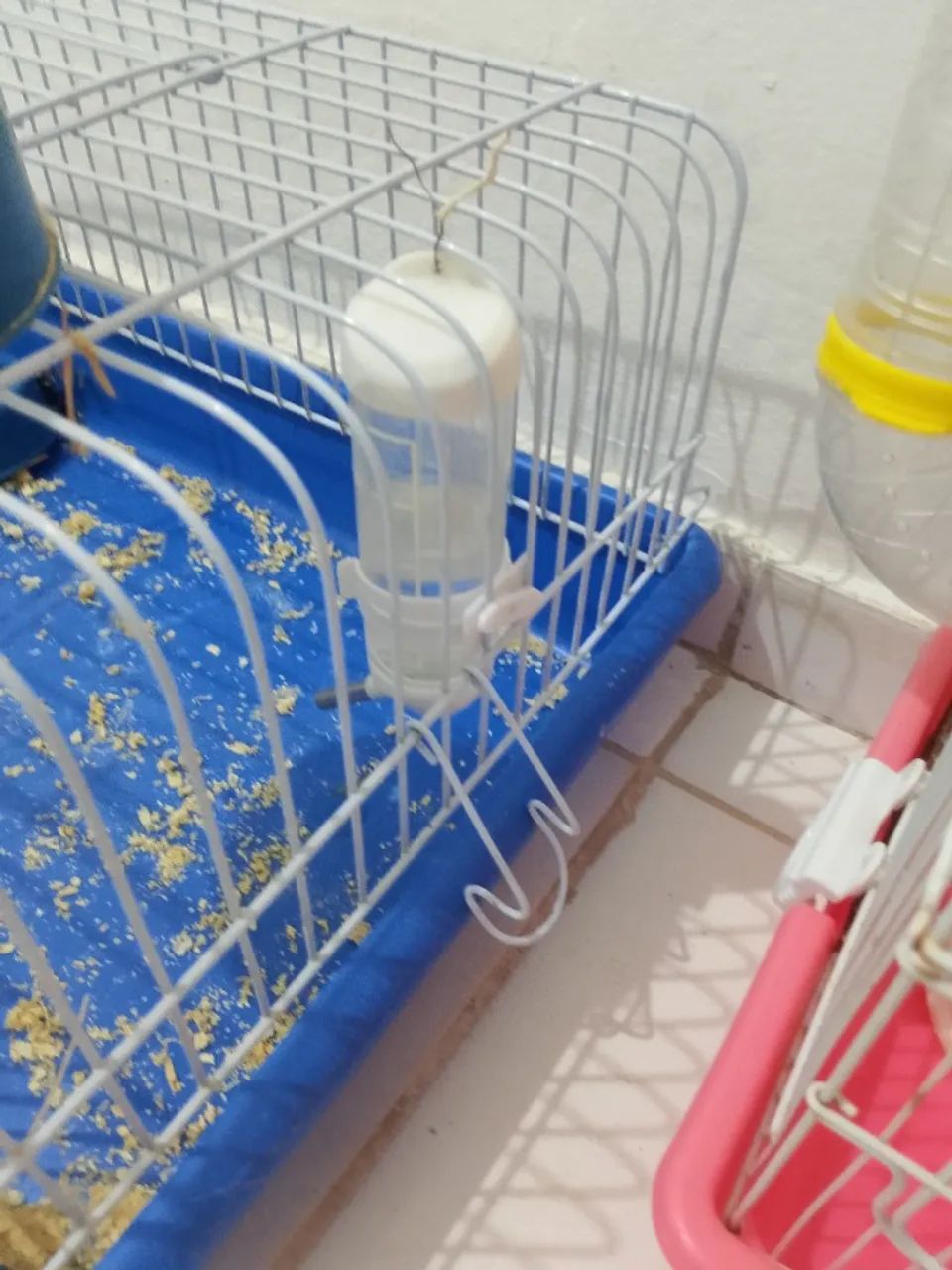 Duas (2) Gaiola para hamster ou porquinho da índia   - Foto 4