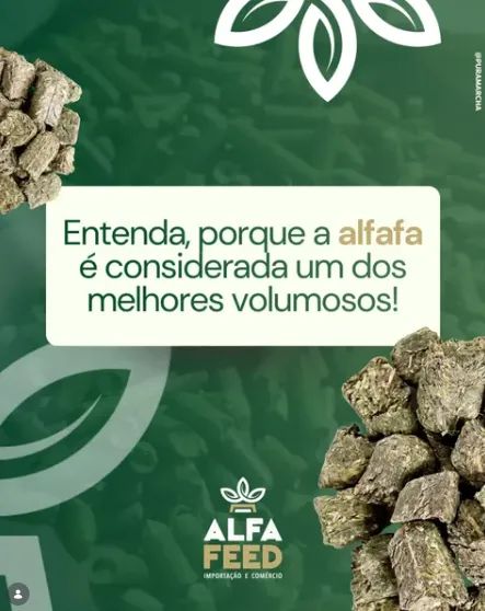 ALFAFA EM CUBOS PARA CAVALOS  - Foto 4