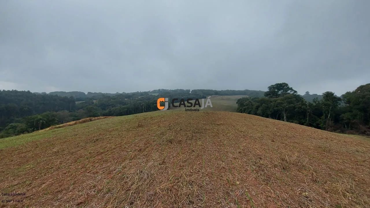 CHACARA RURAL em LAPA - PR, Itabaúna - Foto 4