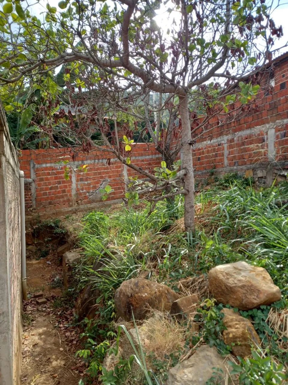 Casa nova com área murada  - Foto 3