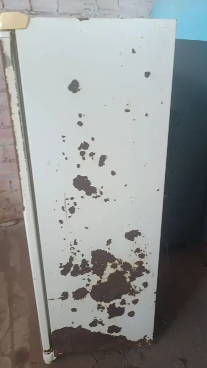 Geladeira e freezer vertical  - Foto 4