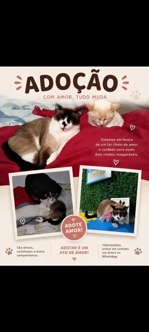 Doação responsável 