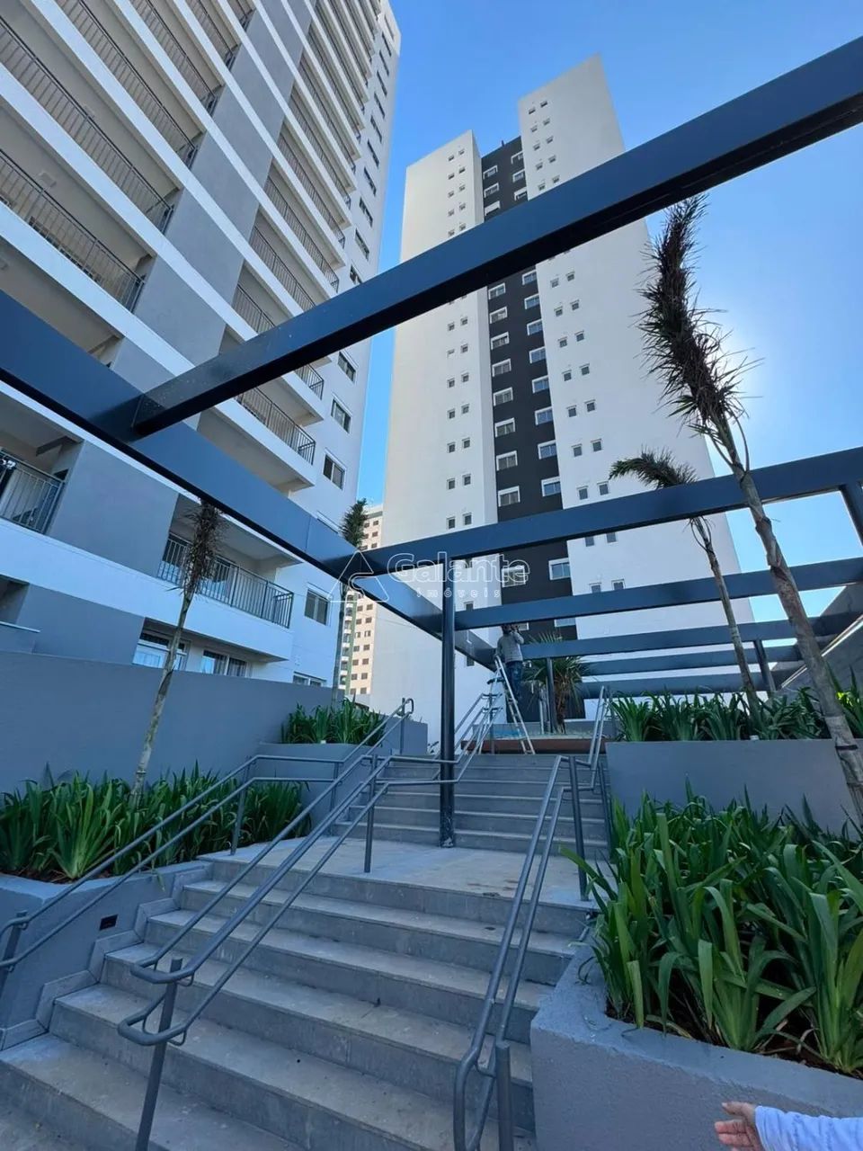 apartamento - Jardim Aurélia - Campinas - Foto 2