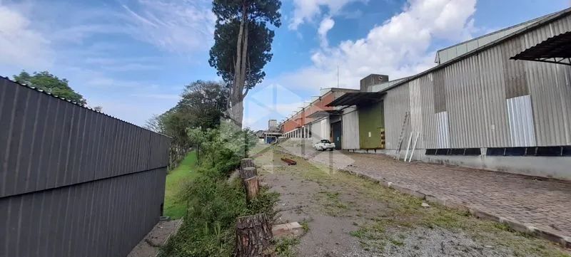 Pavilhão 5000M² - para Alugar - Foto 4