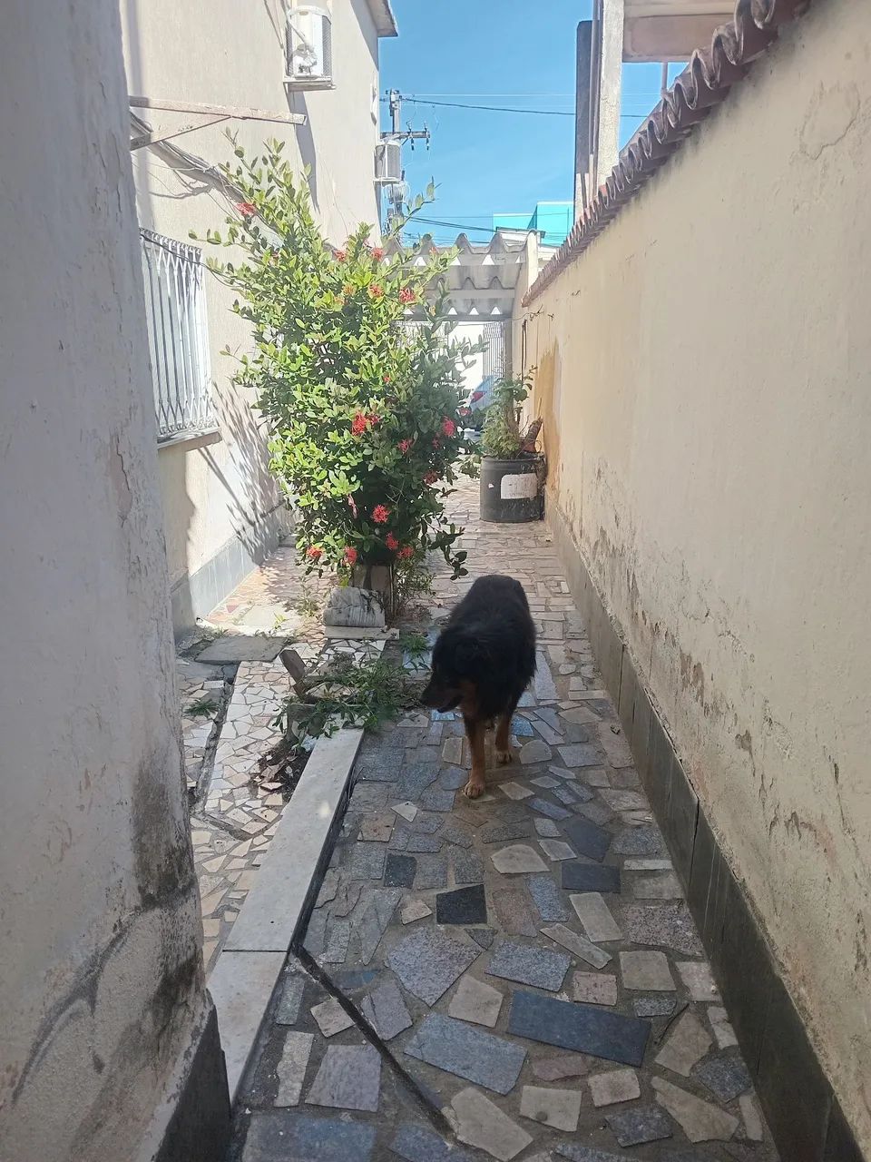 Alugo casa praça trindade. - Foto 4
