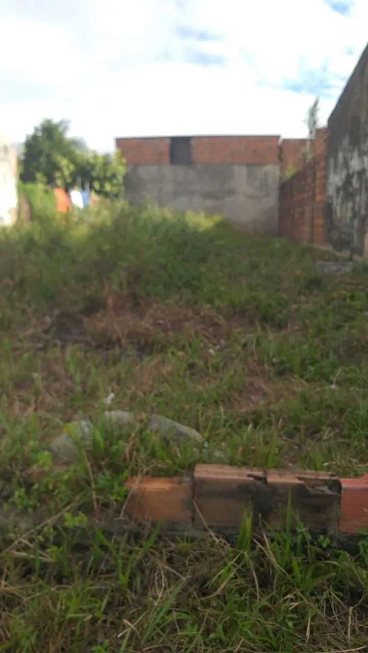 Vende-se terreno na piabeta  - Foto 2