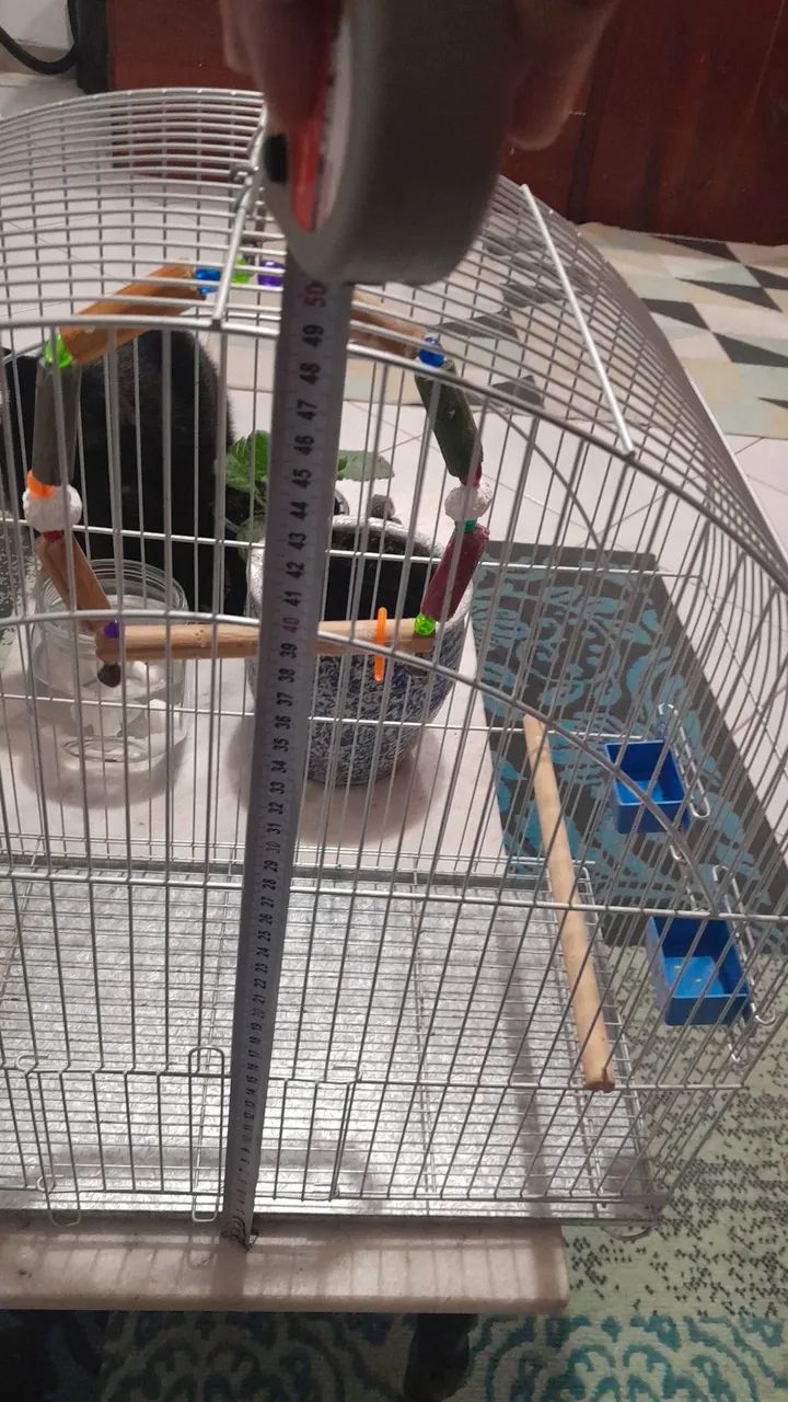 Gaiola de passarinho - Foto 4