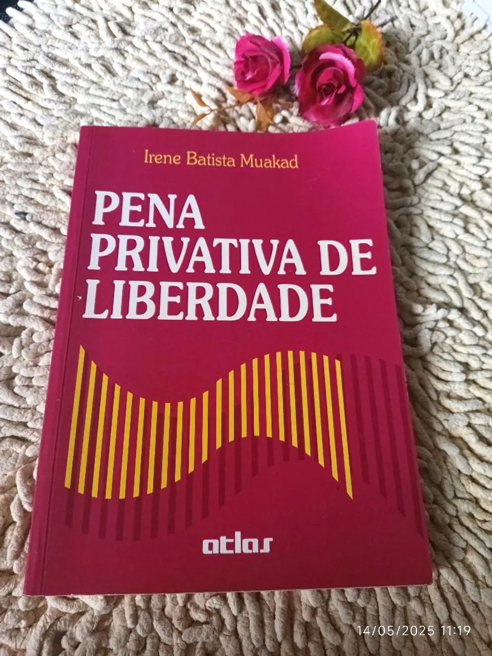 Pena Privativa de Liberdade - Autora: Irene Batista Muakad<br><br>Autora: Irene Batista Muakad