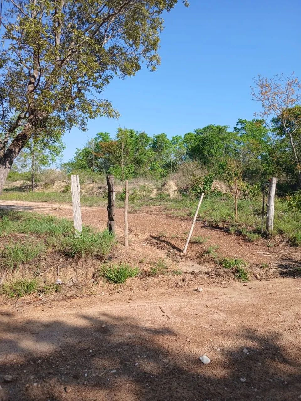 Vendo excelente  chácara no coxipó do ouro  - Foto 4
