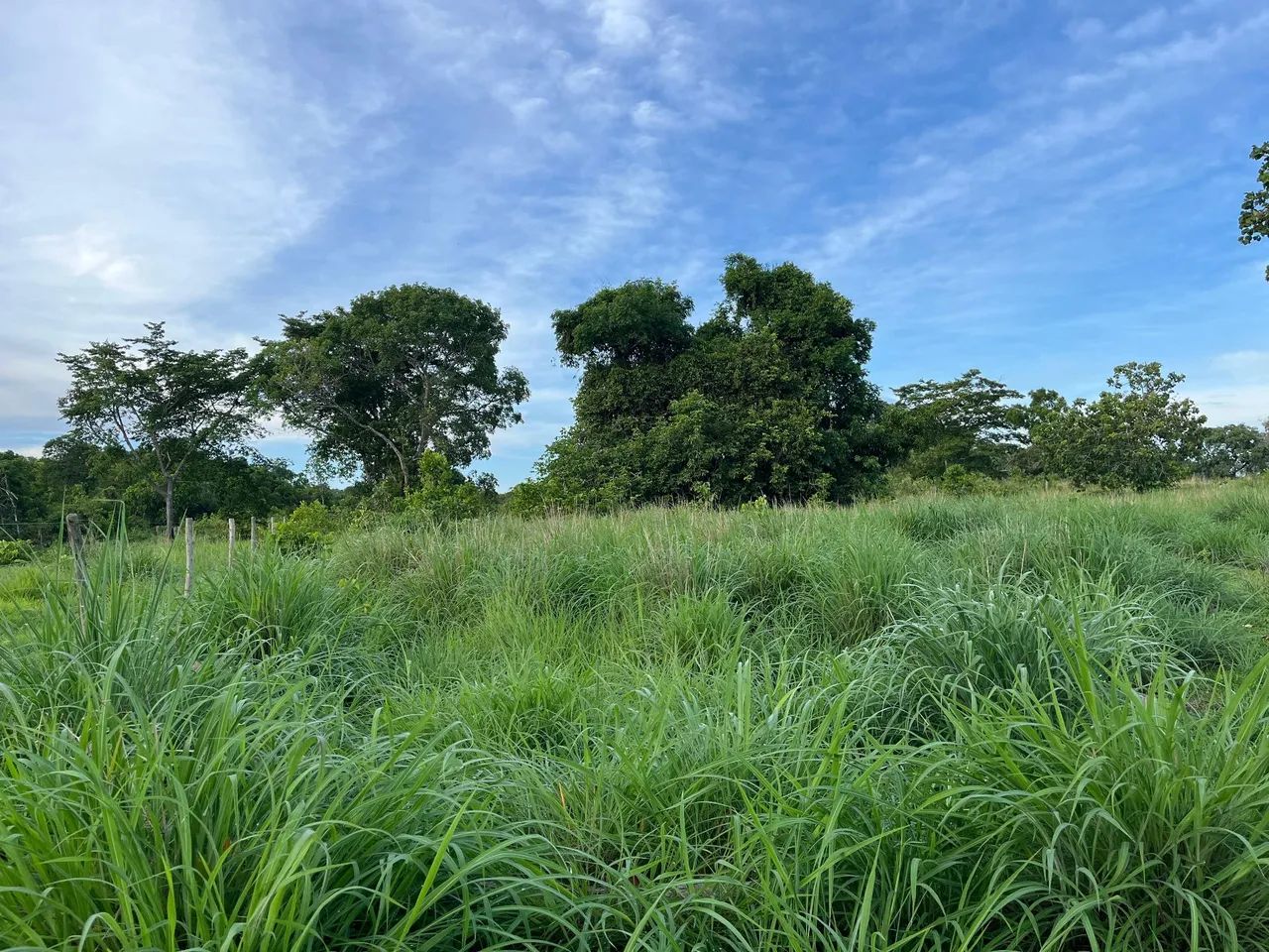 Fazenda a venda em Crixás  - Foto 3