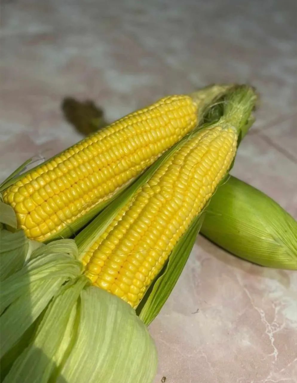 Milho verde (100 unidades)