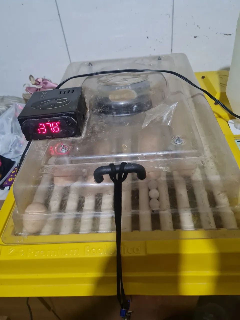 Chocadeira ecológica 