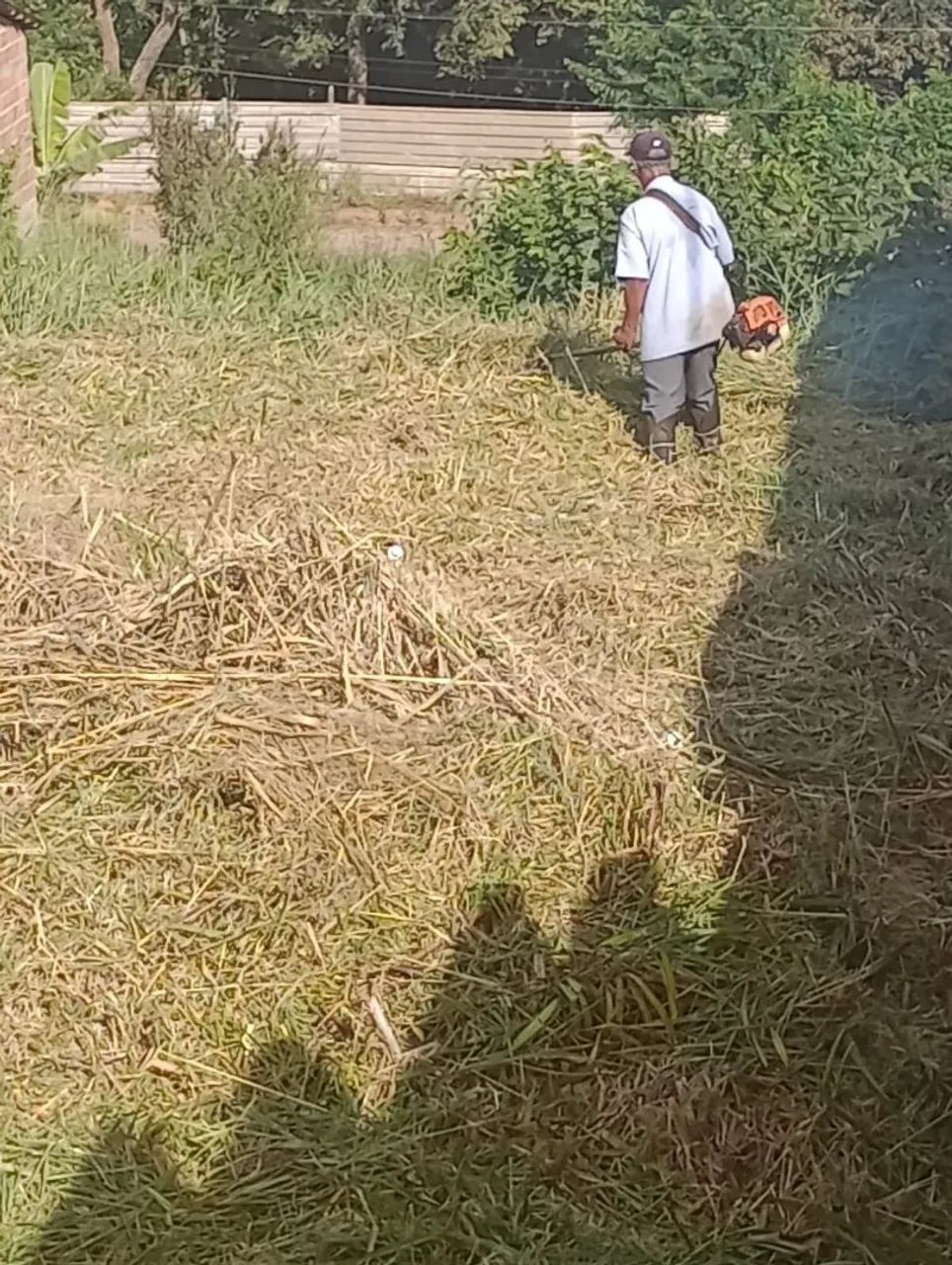 LOTE OURO VELHO EM IGARAPÉ/OPORTUNIDADE  - Foto 5