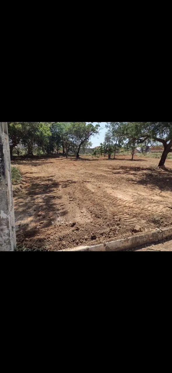 Foto - Novo Gama - 