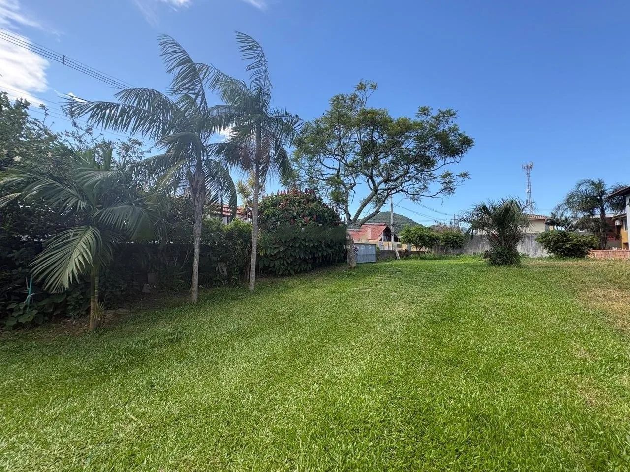 Terreno a venda no Campeche - Florianópolis - Foto 4