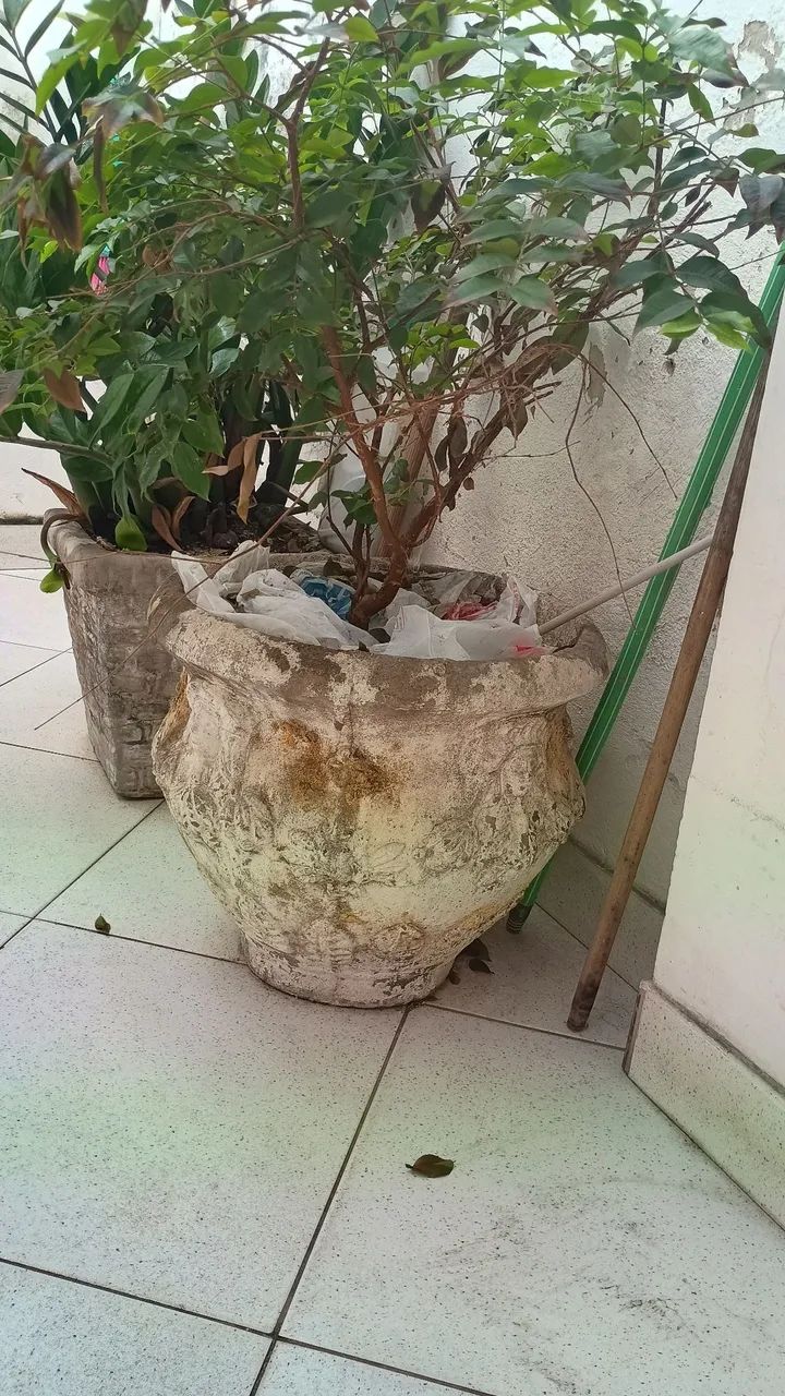 Vendo 2 vasos com plantas  - Foto 2