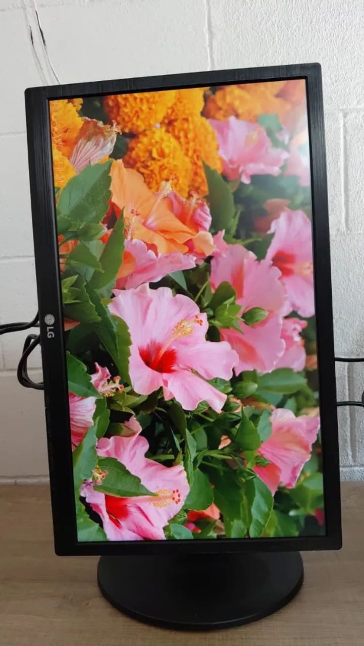 Monitor LG 22 Polegadas" Full HD com HDMI | Tela LED! - Foto 4