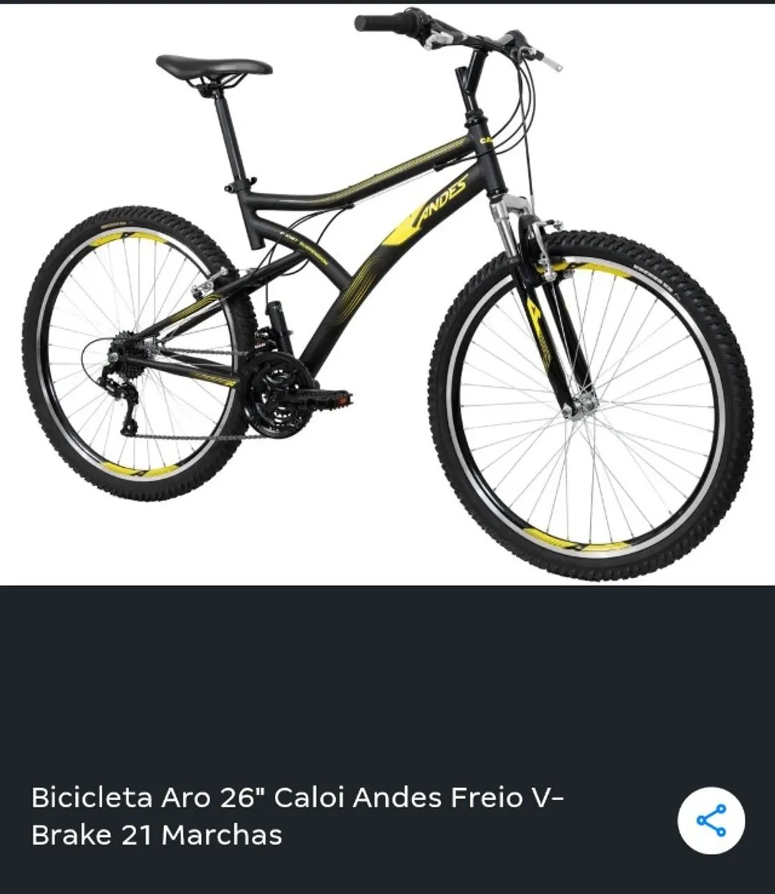 Bicicleta