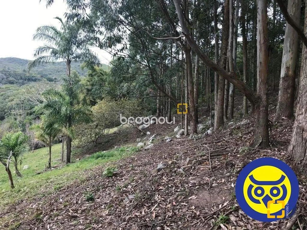 Lote/Terreno com 66.151m² - bairro Vargem Grande - Florianópolis - SC - Foto 5