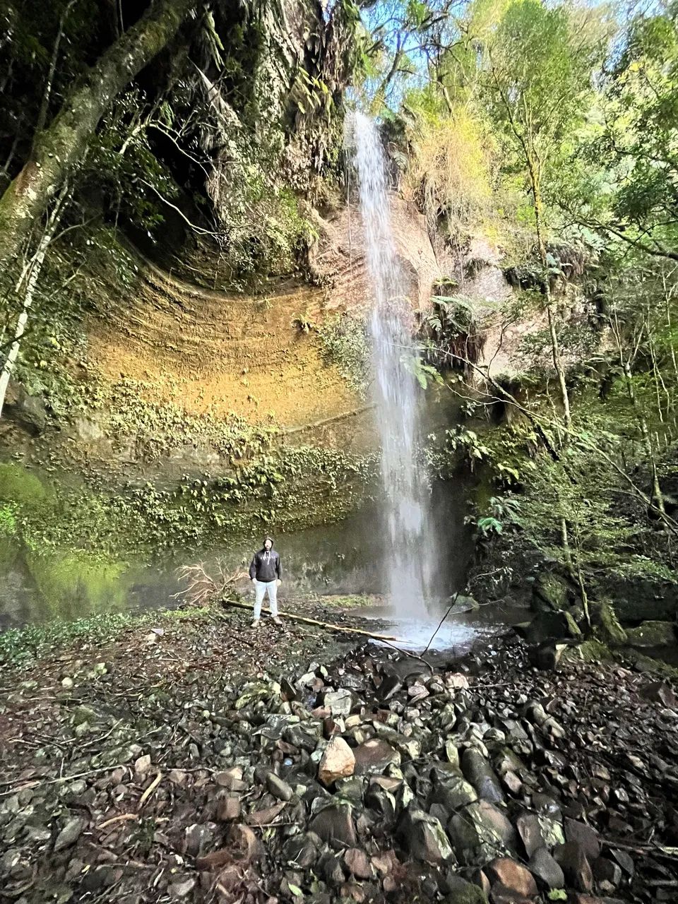Sítio Chácara Serra Catarinense  - Foto 3