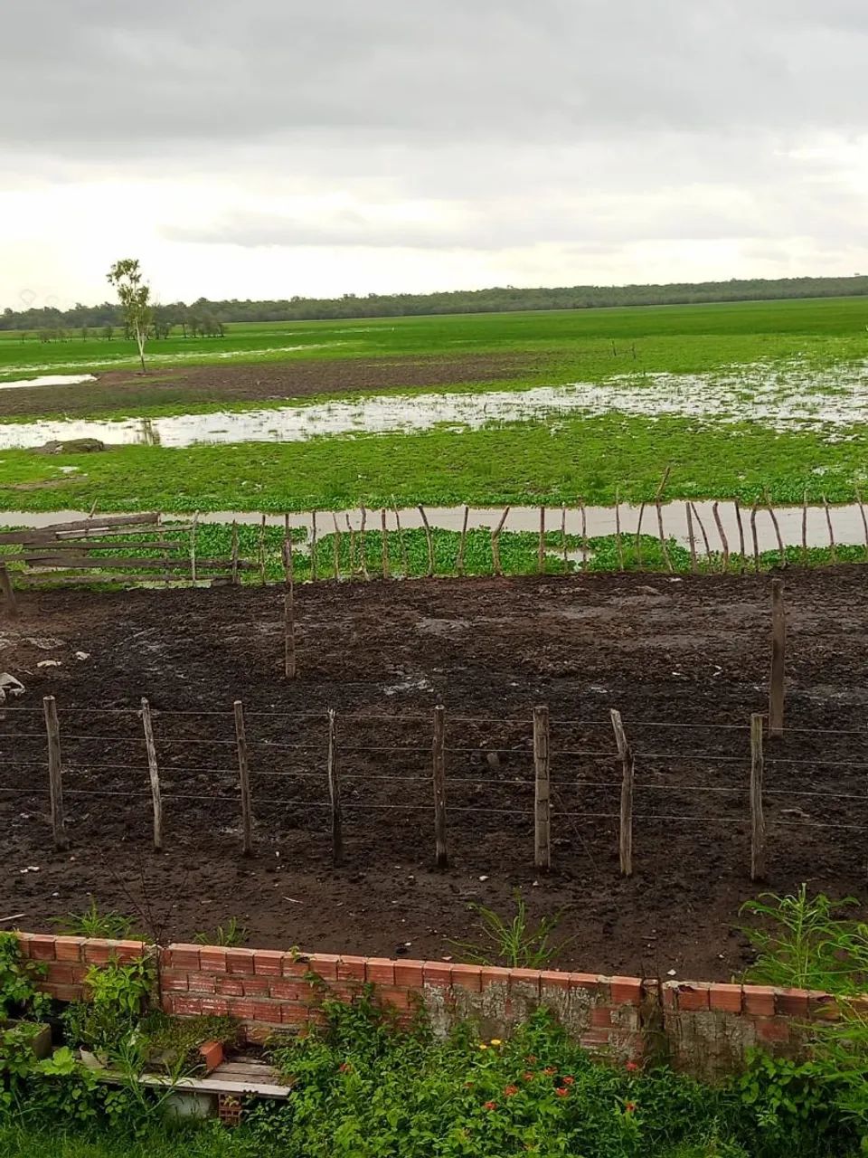 Fazenda em  Bacabeira MA - Foto 5