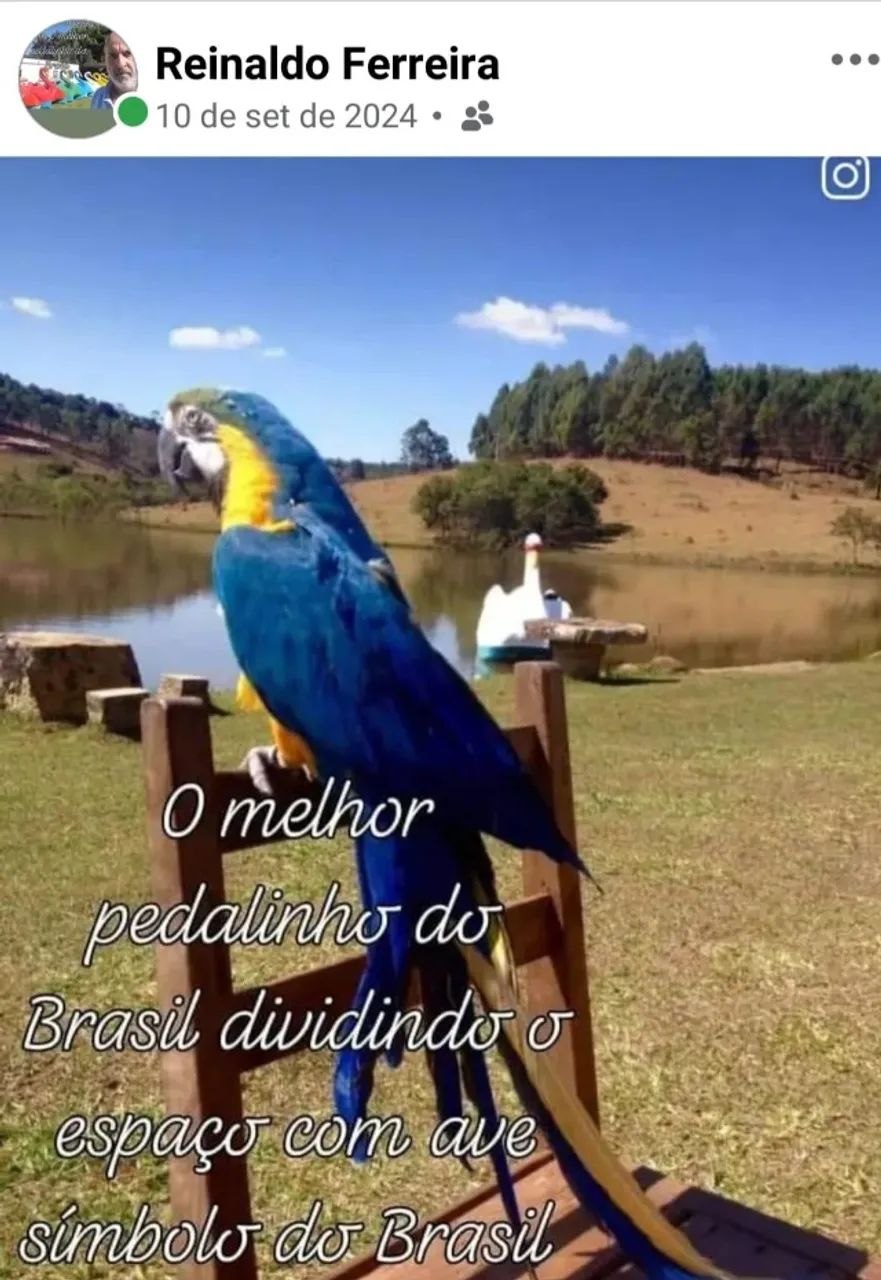 PEDALINHO - Foto 4