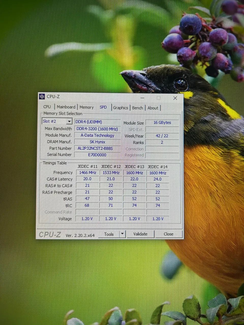 Memoria Ram ADATA 16Gb DDR4 3200MHz - Foto 3