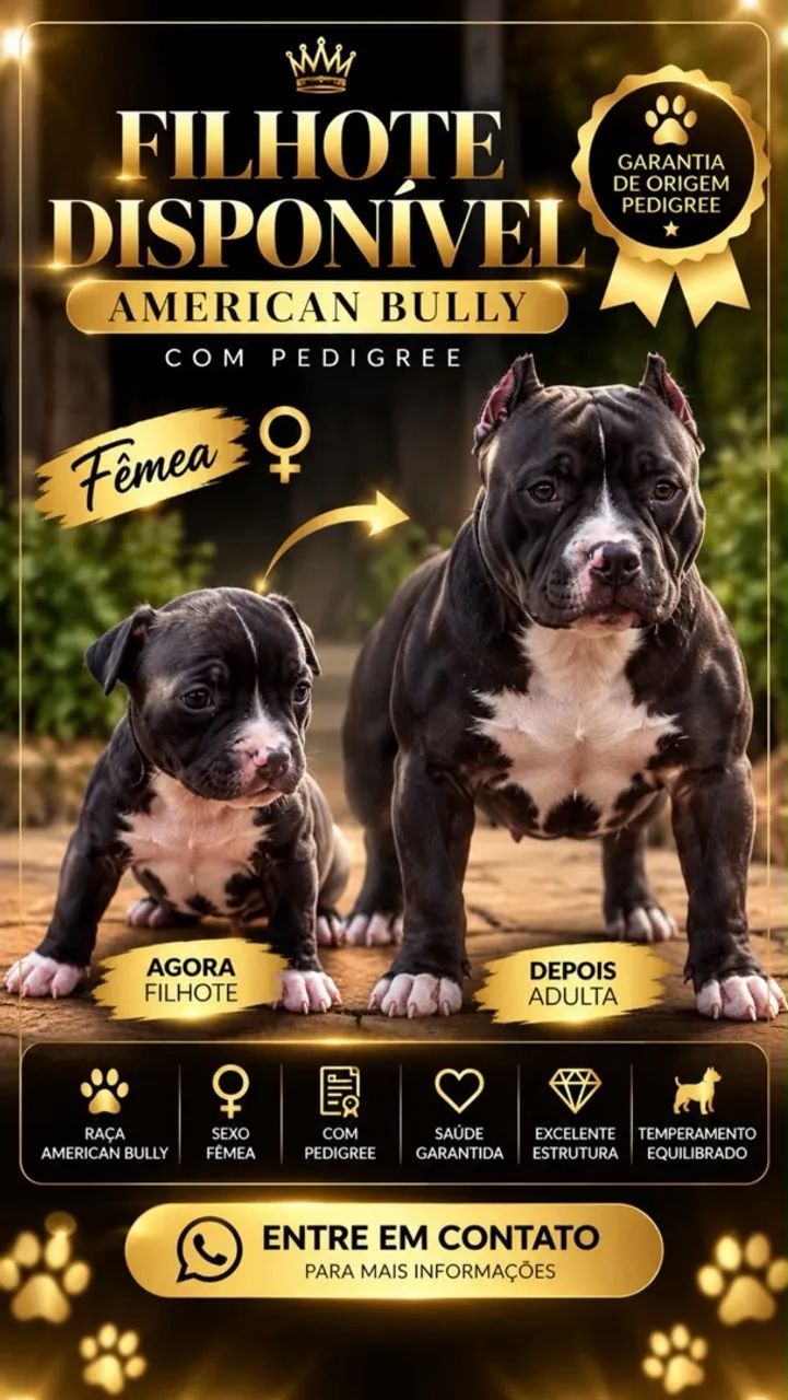  American Bully - Foto 3