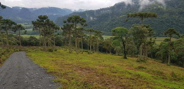 Sítio em Urubici/chácara em Urubici/ Urubici sc - Foto 4