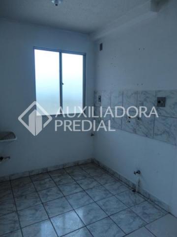 Apartamento para alugar com 2 dormitórios em Canudos, Novo hamburgo cod:244137 - Foto 11