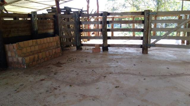 Chácara em Terenos Otímo preço e estrutura (Parcelo) Favor ler o anuncio - Foto 6