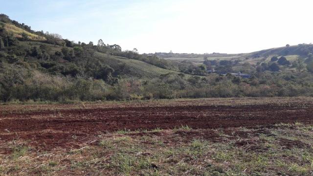 Chácara Venda Ibiporã Próximo Recanto do Engenho - Foto 2