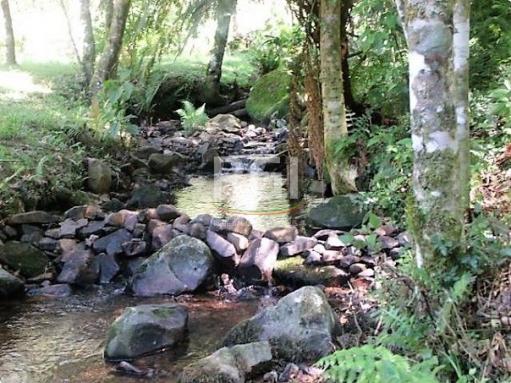 Sítio à venda em Zona rural, São francisco de paula cod:LI50877651 - Foto 9