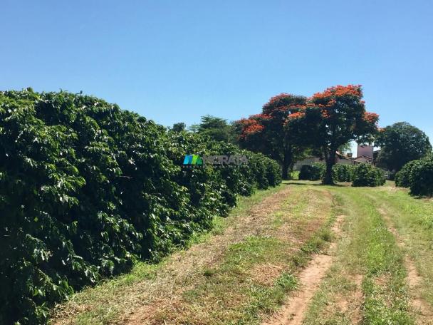 Fazenda à venda - 80 hectares - lavras (mg) - Foto 4