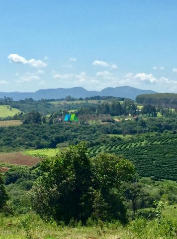 Fazenda à venda - 80 hectares - lavras (mg) - Foto 16