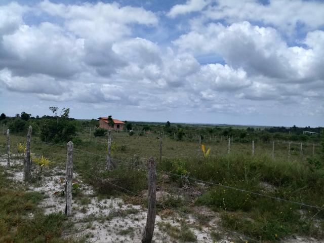 Lotiamento que ficar no sitio Maná - Foto 4
