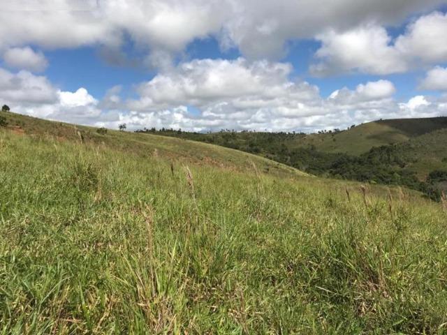 Vende-se Fazenda 425,98 ha no Extremo Sul da Bahia - Itanhém - Foto 8