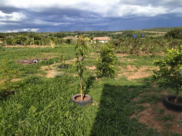 Chácarra Bonfinópolis - Foto 3