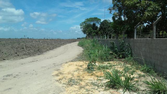 Oportunidade lote para chácara no Lindóia apenas 90 mil - Foto 5