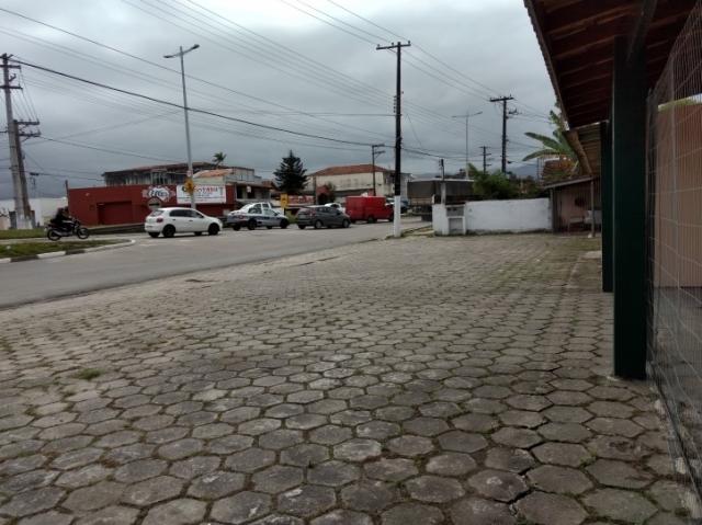 900 metros frente rodovia caraguatatuba - Foto 3