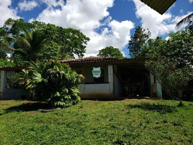 Ibirapitanga. Fazenda pequena com área de 12 ha - Foto 4