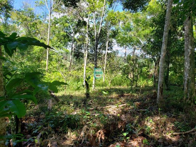 Ibirapitanga. Fazenda pequena com área de 12 ha - Foto 19