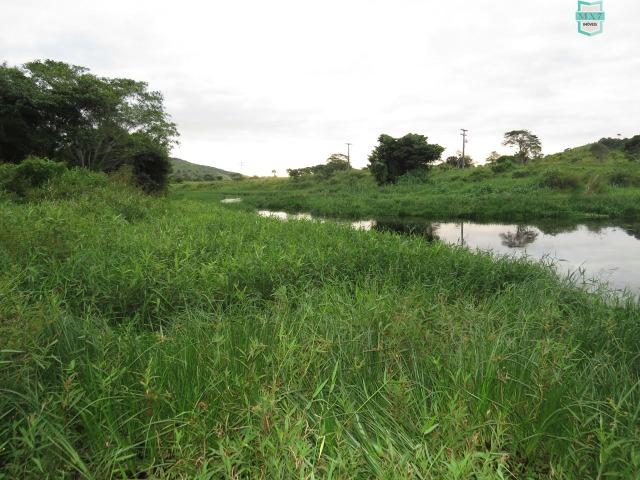Gongogi - Fazenda pecuária de 655 Hectares toda formada - Foto 18