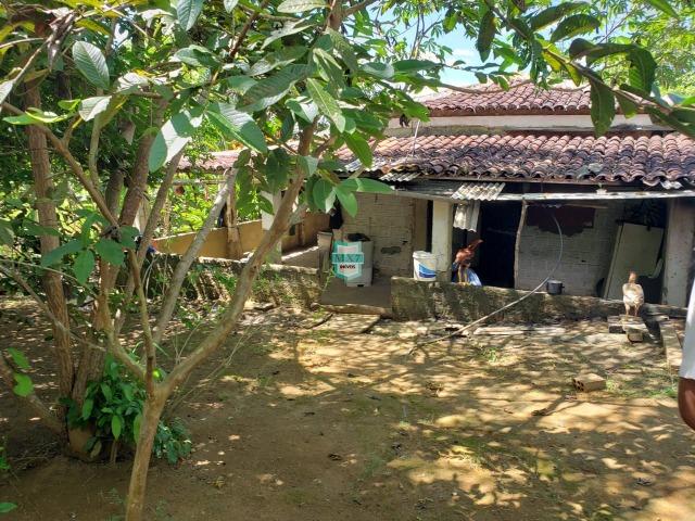 Ibirapitanga. Fazenda pequena com área de 12 ha - Foto 6