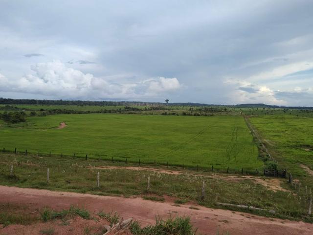 Vendo Fazenda Rondônia - Foto 3