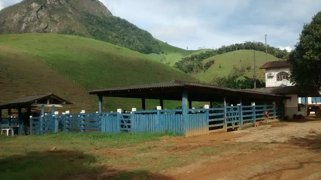 Fazenda 97 alqueires cariacica - Foto 3