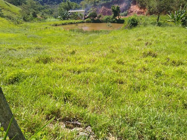 Fazendinha 10 Alqueires Santa Leopoldina - Foto 16