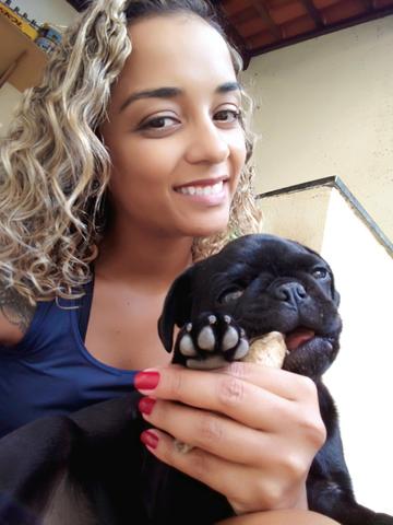 Banho e Tosa
