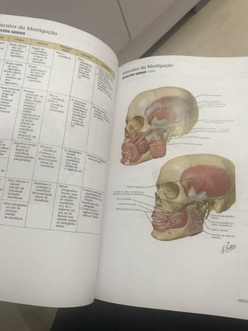 Livro Netter - Atlas de cabeça e pescoço  - Foto 3